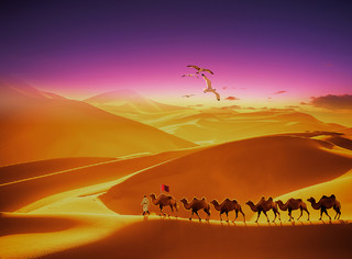 金黄色唯美沙漠骆驼骆驼队红旗晚霞展板背景